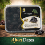Ajwa Dates (Ajwa Al Madinah) 500g | Fukuoka Halal Shop